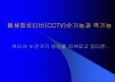 폐쇄회로티비(CCTV)순기능과 역기능 1페이지