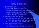 폐쇄회로티비(CCTV)순기능과 역기능 12페이지