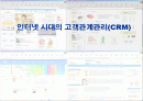 인터넷 시대의 고객관계관리(CRM) 1페이지