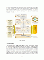 국민은행의 아웃플레이스먼트(Outplacement) 7페이지