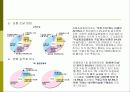 다단계 업체(Network marketing)의 전자상거래 구축 32페이지