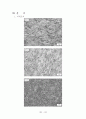 Al 7075 열처리 조건에 따른 조직 관찰, 경도 및 충격 시험 20페이지