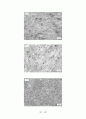 Al 7075 열처리 조건에 따른 조직 관찰, 경도 및 충격 시험 21페이지