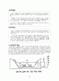 환경오염 11페이지