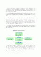 성공한 기업의 경영사례분석 총모음 31페이지