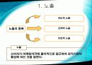 삼성전자 지펠(Zipel) 냉장고 - 마케팅 성공 사례분석 - 26페이지