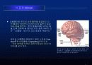 뇌졸중에 대한 발표자료 3페이지