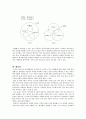 세계화와 민족주의(부제 : 세계분쟁의 실상과 향후전망에 대한 논의) 29페이지