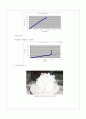 콘크리트 압축강도시험 예비,결과 5페이지