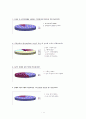 사업계획서(종합교육컨설팅 기업) 3페이지