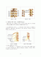 운동을 통한 요통예방과 치료 5페이지