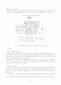 [졸업논문]지식기반경제에서의 지역혁신체제(RIS) 구축모형에 관한 연구 17페이지