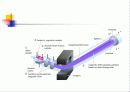 gas Chromatography & mass 21페이지