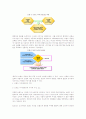  ‘헤라' 브랜드의 구축, 마케팅분석과 앞으로의 방향성 5페이지