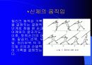 육상경기중 투창경기의 해부학적 분석 6페이지