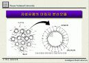 PID, 극점 배치법을 이용한 자성유체 캡슐의 위치제어에 관한 연구 5페이지