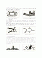 도시설계의이론(도시설계란?) 18페이지