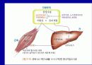 Lipids(지질)에 관한 조사자료  33페이지