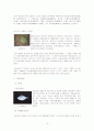 새만금 간척사업 12페이지