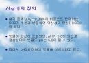 산성비(지구환경과 세계경제) 3페이지