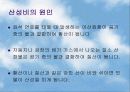 산성비(지구환경과 세계경제) 4페이지