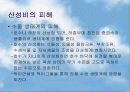 산성비(지구환경과 세계경제) 5페이지