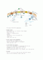 면역학-보체(complement), 과민반응, MHC와 조직이식 24페이지