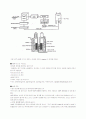 단백질 구조 분석 NMR과 X선 분석법 이용 6페이지