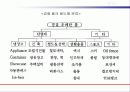 폴리우레탄 발표수업 17페이지