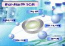 월마트의 SCM 시스템을 통한 성공 사례분석 17페이지