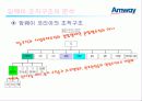 네트워크 마케팅 _ 암웨이사례분석 11페이지