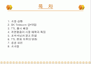 TTL 마케팅성공사례(디자인경영성공사례) 2페이지