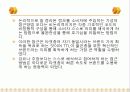 TTL 마케팅성공사례(디자인경영성공사례) 34페이지