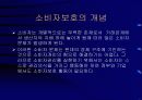 소비자 피해 구제제도의 문제점과 개선방안 3페이지