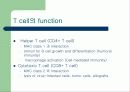 T cell function test 3페이지