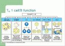 T cell function test 5페이지