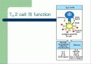 T cell function test 6페이지