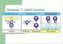 T cell function test 7페이지