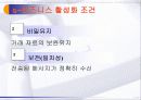 e-business 활성화 구축조건 4페이지