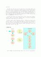 소비와 현대생활 시험자료 10페이지