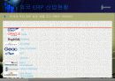 [ERP] Enterprise Resource Planning 25페이지
