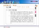 기업별직무적성검사사례분석_삼성,포스코,한진外 22페이지