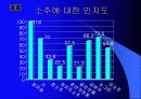 참이슬의 경영전략 30페이지