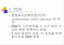 PCR (RT-PCR, Real time PCR)과 Western blot 3페이지