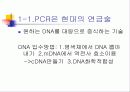PCR (RT-PCR, Real time PCR)과 Western blot 4페이지
