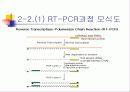 PCR (RT-PCR, Real time PCR)과 Western blot 14페이지