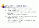 PCR (RT-PCR, Real time PCR)과 Western blot 16페이지