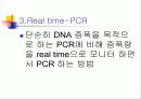PCR (RT-PCR, Real time PCR)과 Western blot 18페이지