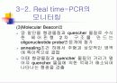 PCR (RT-PCR, Real time PCR)과 Western blot 24페이지