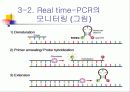 PCR (RT-PCR, Real time PCR)과 Western blot 25페이지